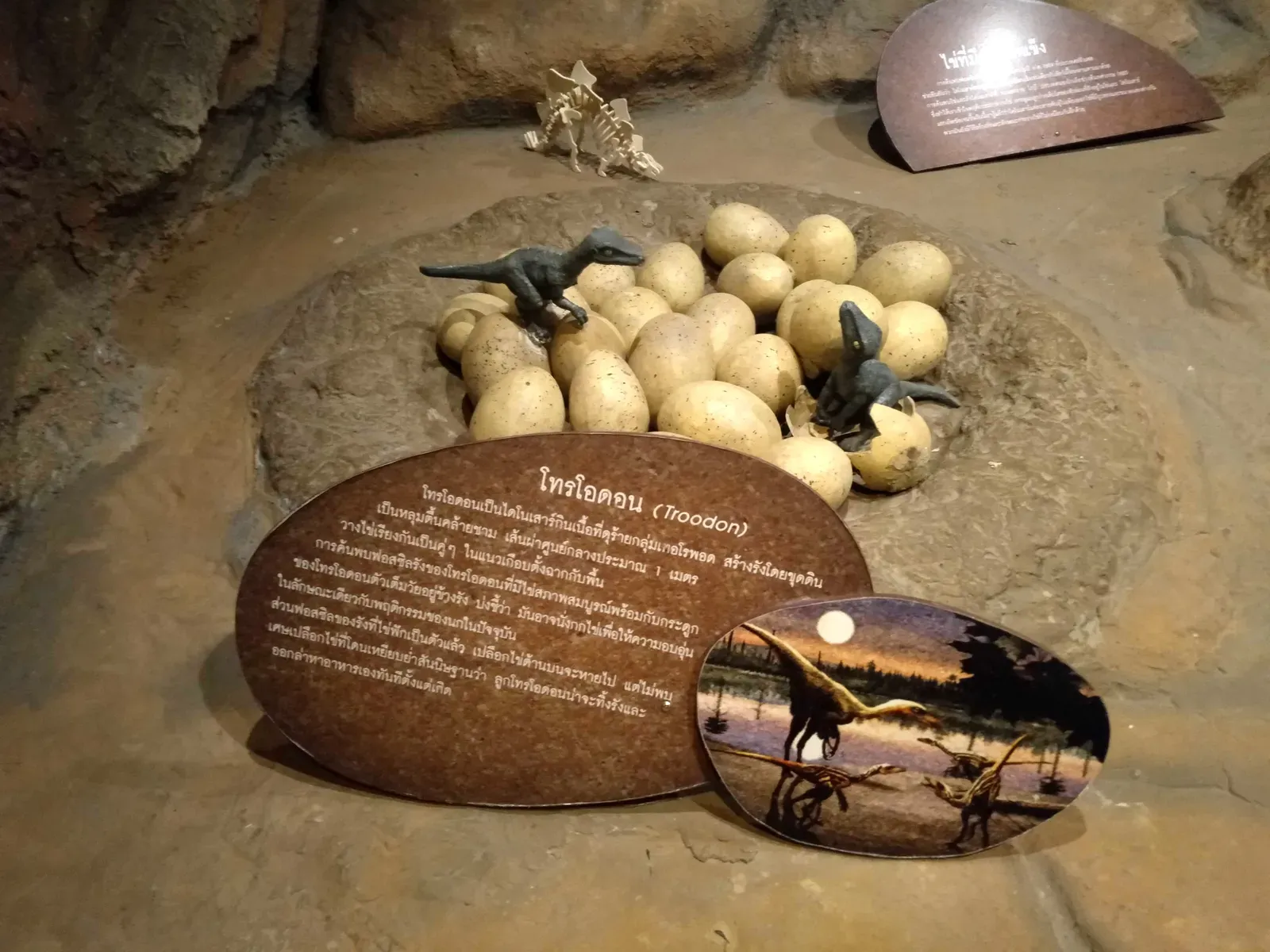 5. Troodon Nests: The Clever Predator with Careful Clutches (By Pescov, CC BY-SA 4.0)