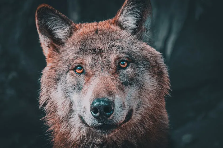#4 Archetypes And Ancient Stories Still Shape You Today (Image Credits: Pexels)