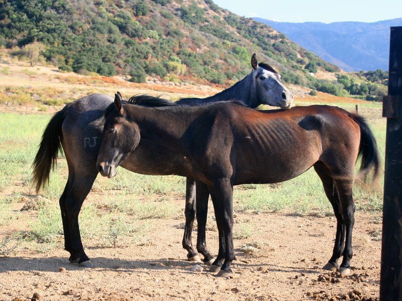 California: A Surprising Runner-Up (Image Credits: Flickr)