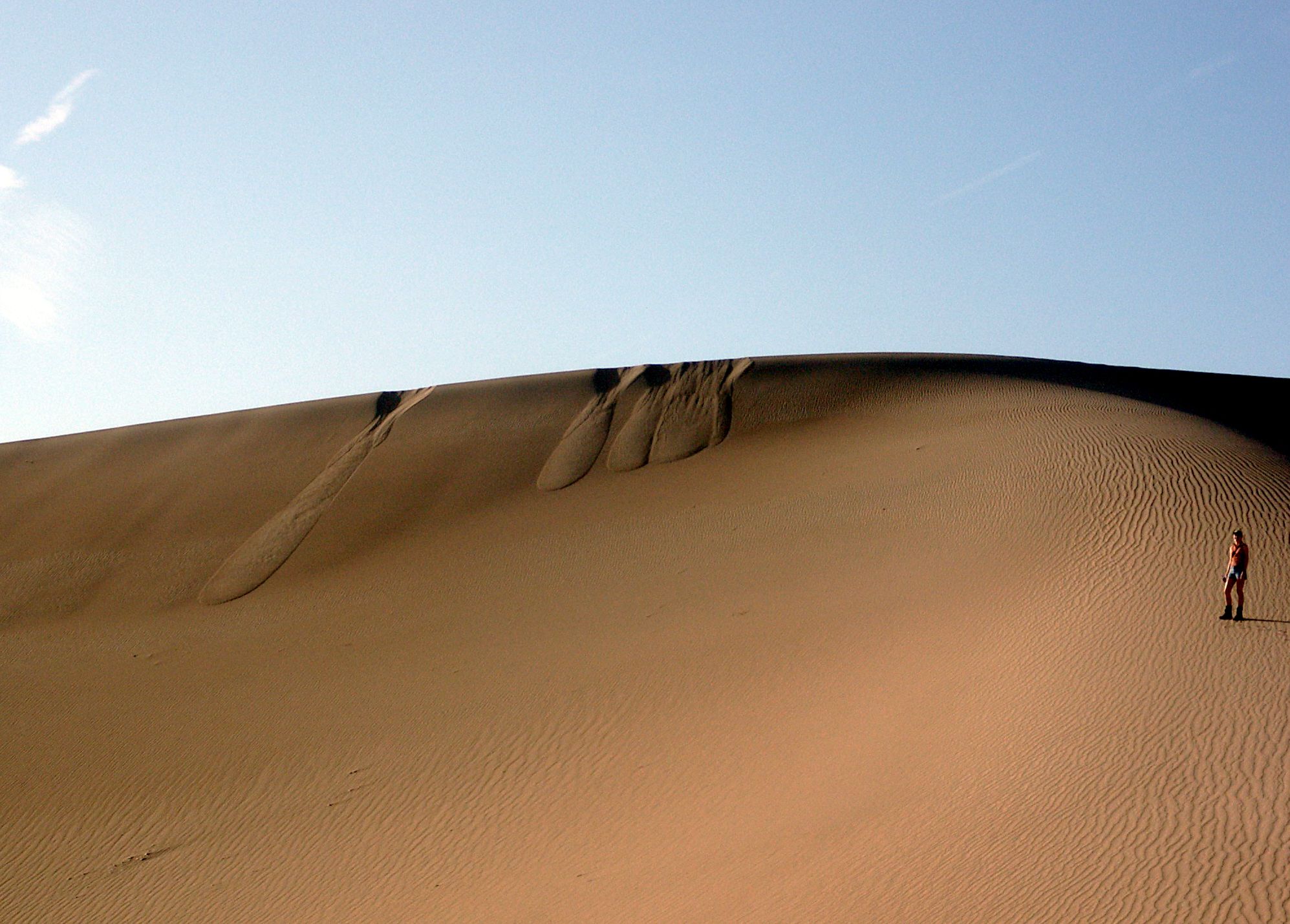 Why It Matters (Image Credits: Wikimedia)