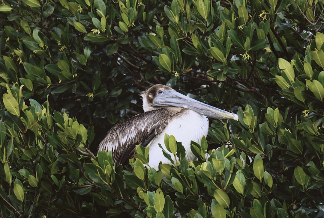 The Hidden Clues (Image Credits: Unsplash)