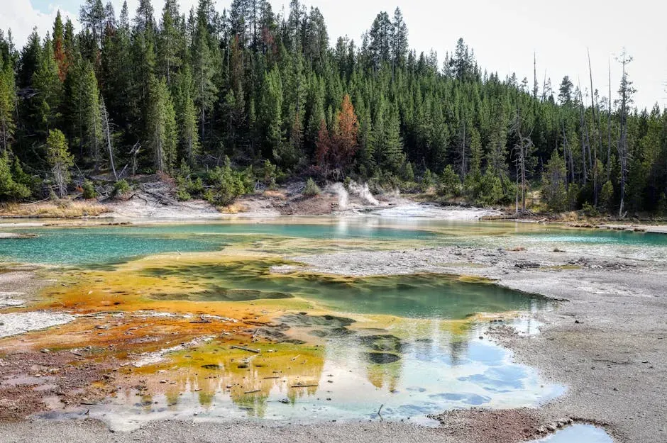 Yellowstone’s “New” Pattern: Restless, But Not Reckless (Image Credits: Pexels)