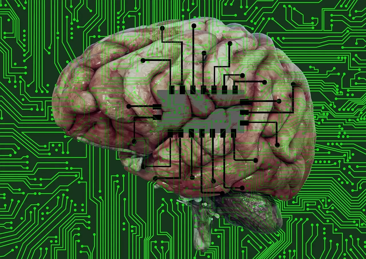 Living Computers and Bio-Machines: Where Biology Meets the Circuit Board (Image Credits: Pixabay)