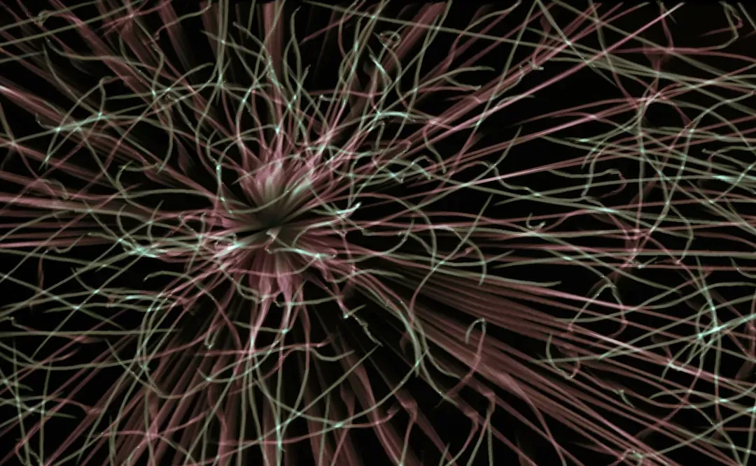 What Bell’s Theorem Means for Your Intuition (Image Credits: Unsplash)