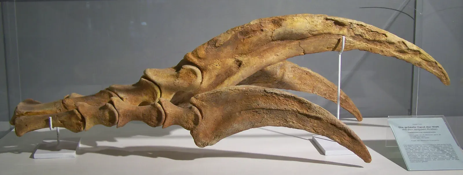 #5 - Therizinosaurus: The "Sloth Dinosaur" Drawn Around Giant Claws (By Woudloper, CC BY-SA 3.0)