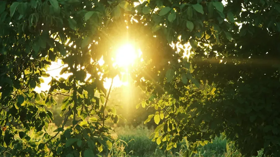 Sunlight Makes All the Oxygen You Breathe Possible (Image Credits: Pexels)