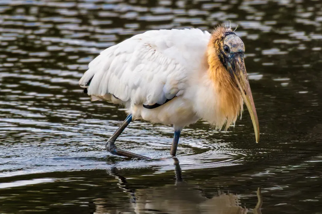 Conclusion (Image Credits: Unsplash)