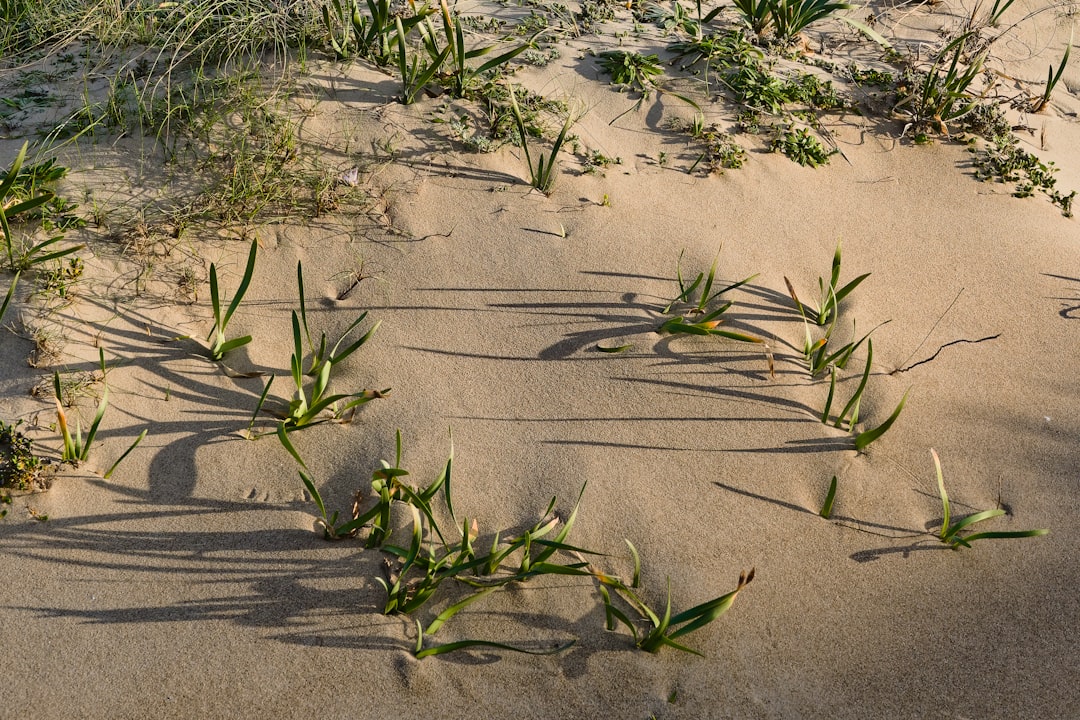 Conclusion (Image Credits: Unsplash)