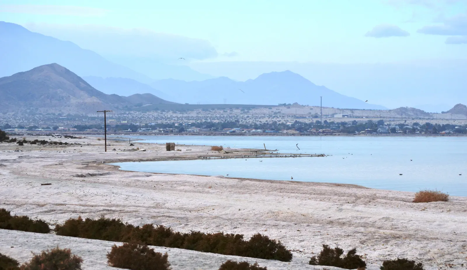 Conclusion: A Disappearing Sea That Refuses to Be Ignored (By Nandaro, CC BY-SA 3.0)