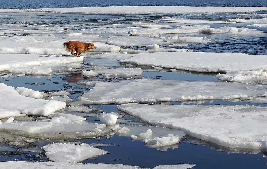 2. Ice Floats - and That Quirk May Have Saved All Life on Earth (gennadyalexandrov, Flickr, CC BY 2.0)