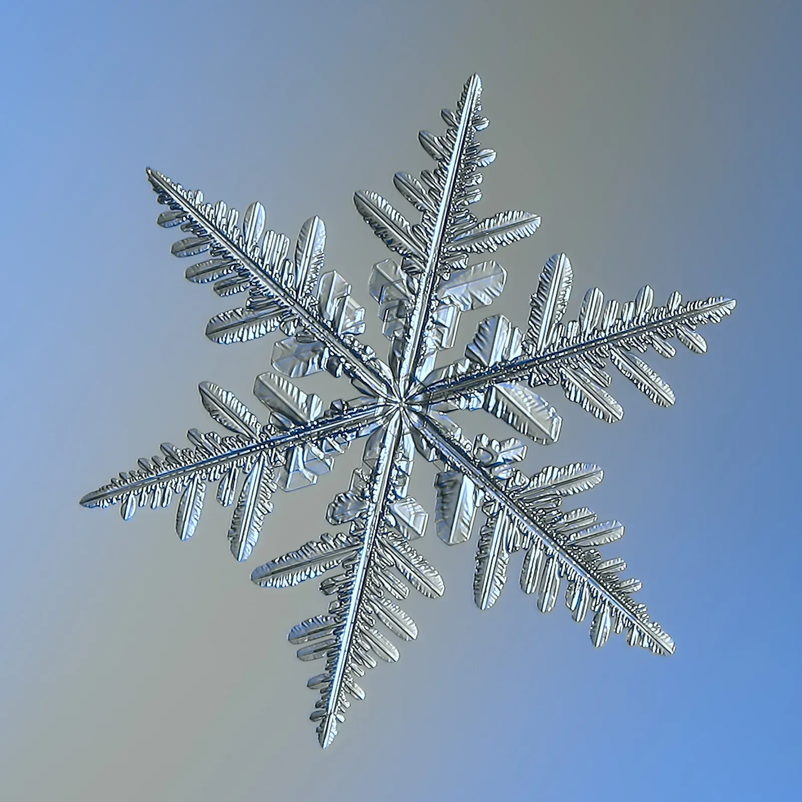 7. Symmetry and Repetition in Snowflakes, Flowers, and Viruses (Snowflake, CC BY 2.0)