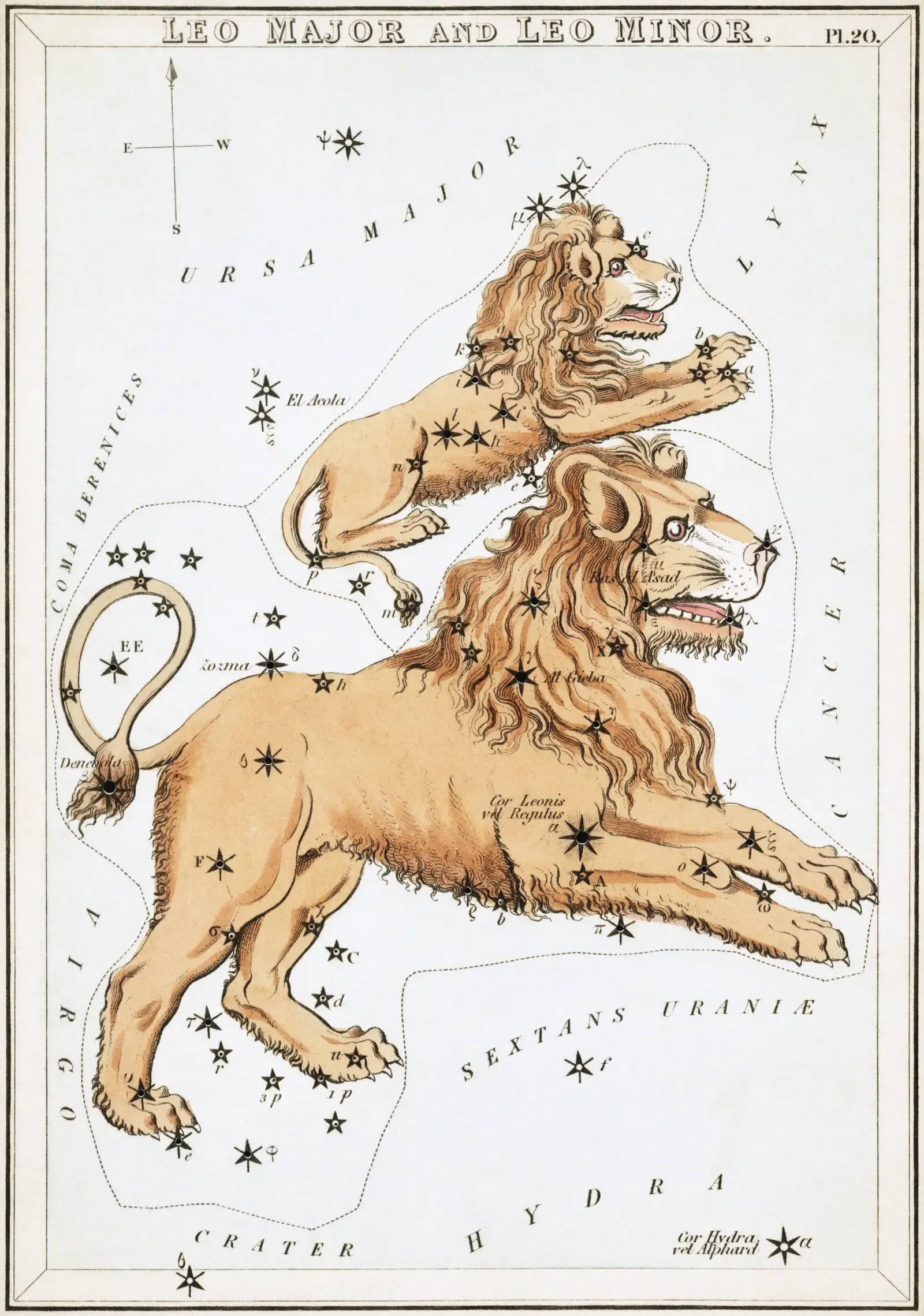 Leo: The Solar Lion Born from Stellar Fire (Image Credits: Wikimedia)