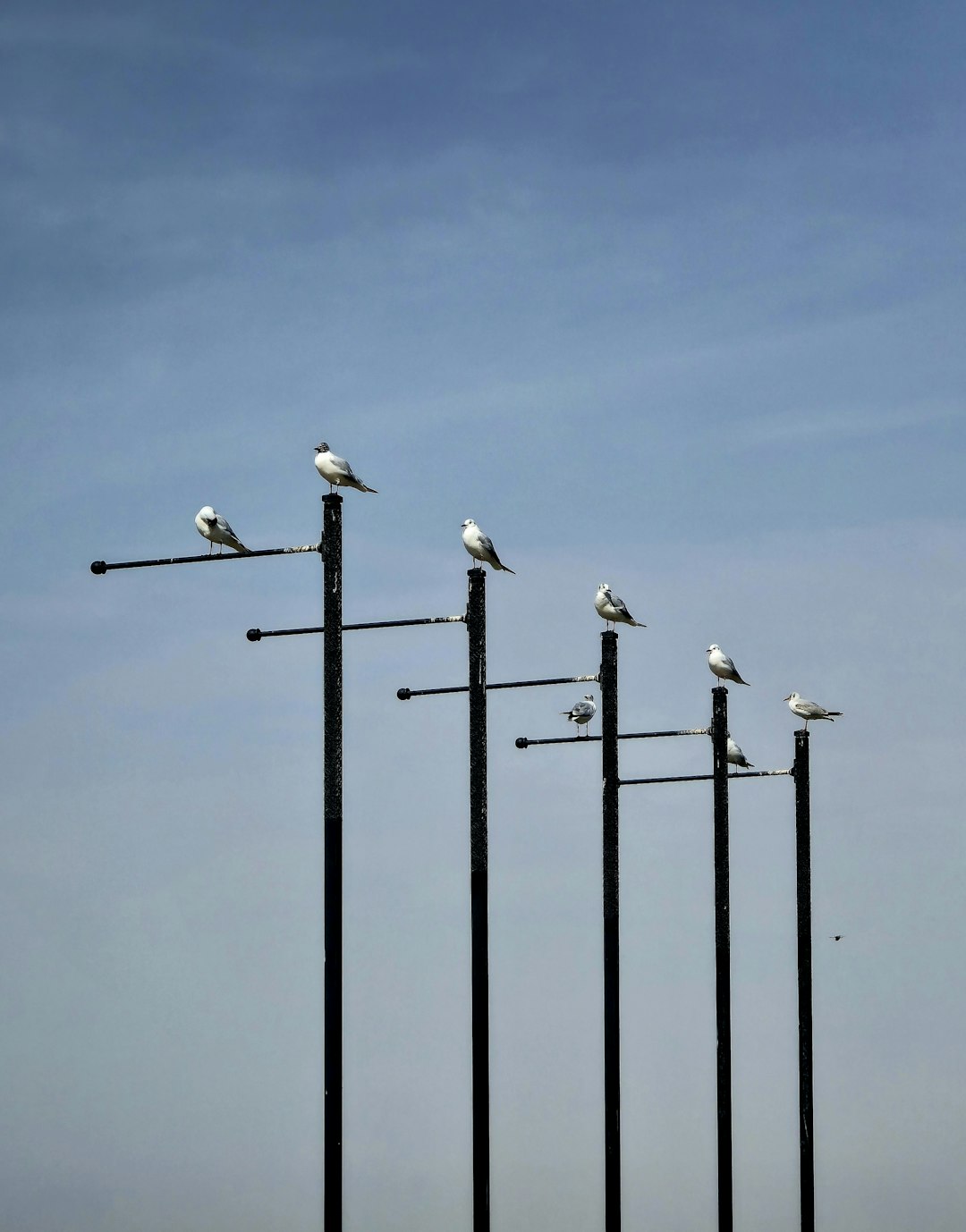 From Ancient Tools to Modern Science (Image Credits: Unsplash)