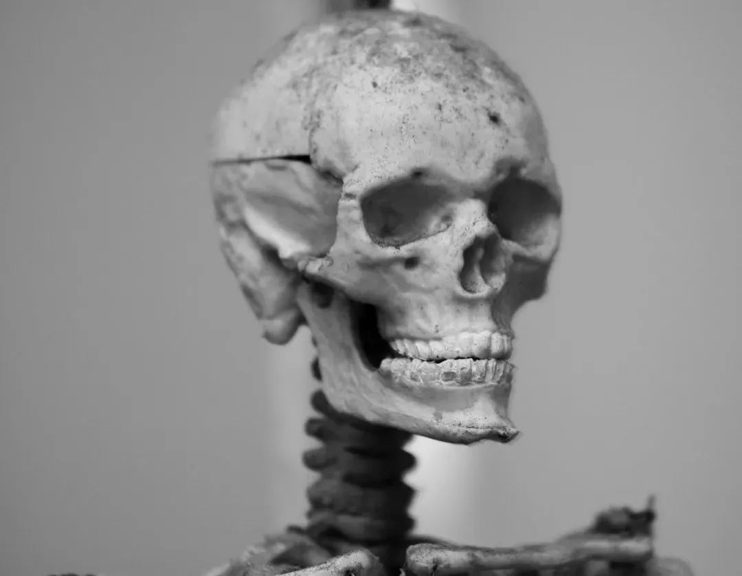 Race, Eugenics, and the Misuse of Genetics (Image Credits: Unsplash)