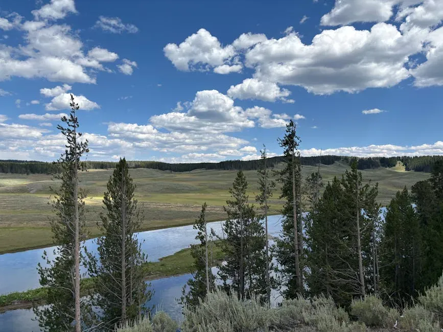 7. How Yellowstone’s Terrain Can Hide You Forever (Image Credits: Pexels)
