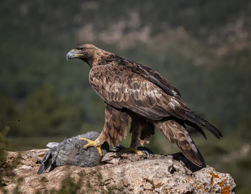 Predators vs. Prey: How Color Vision Shapes Survival Strategies (Image Credits: Pexels)