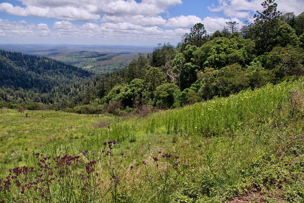 Future Plans and Protection (Image Credits: Flickr)