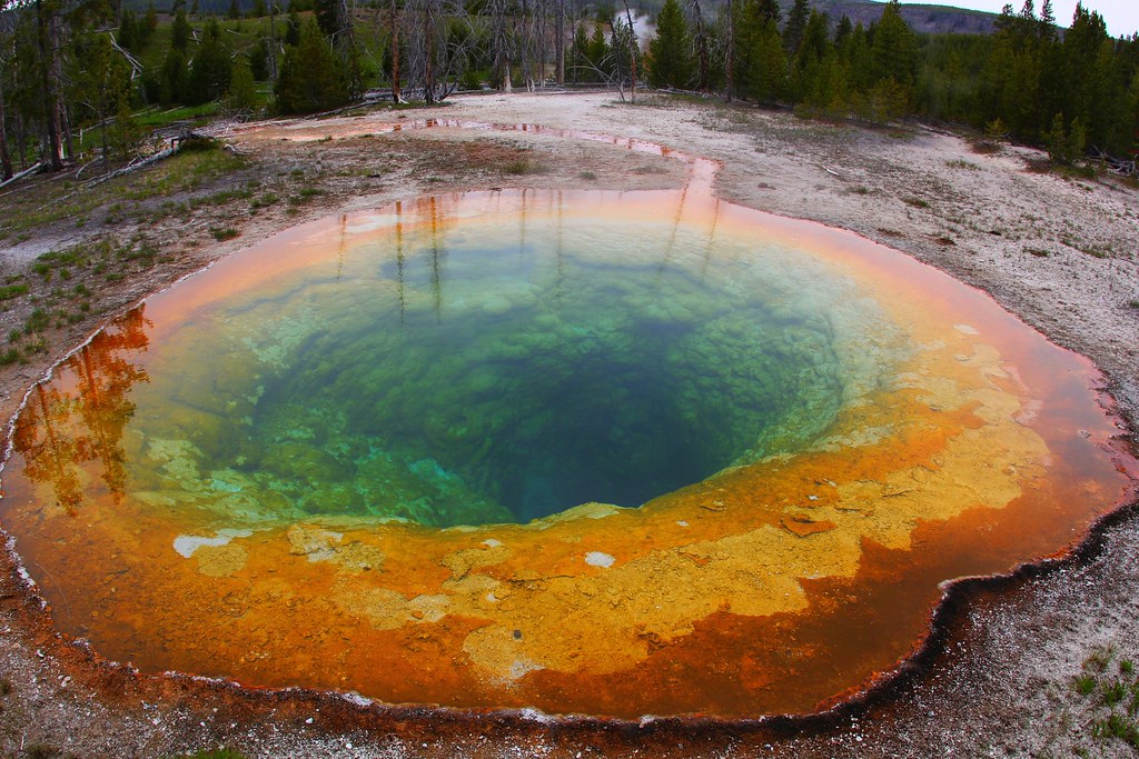 The Discovery That Changed Everything (Image Credits: Flickr)