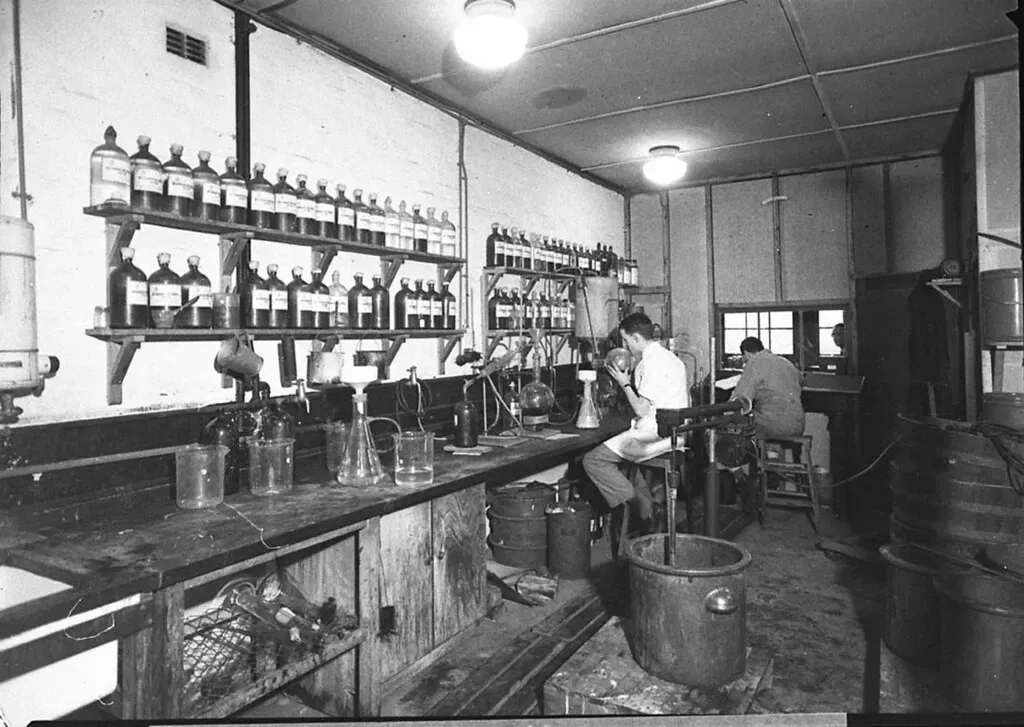 The Discovery of Antibiotics: When Mold Became Medicine (Image Credits: Flickr)