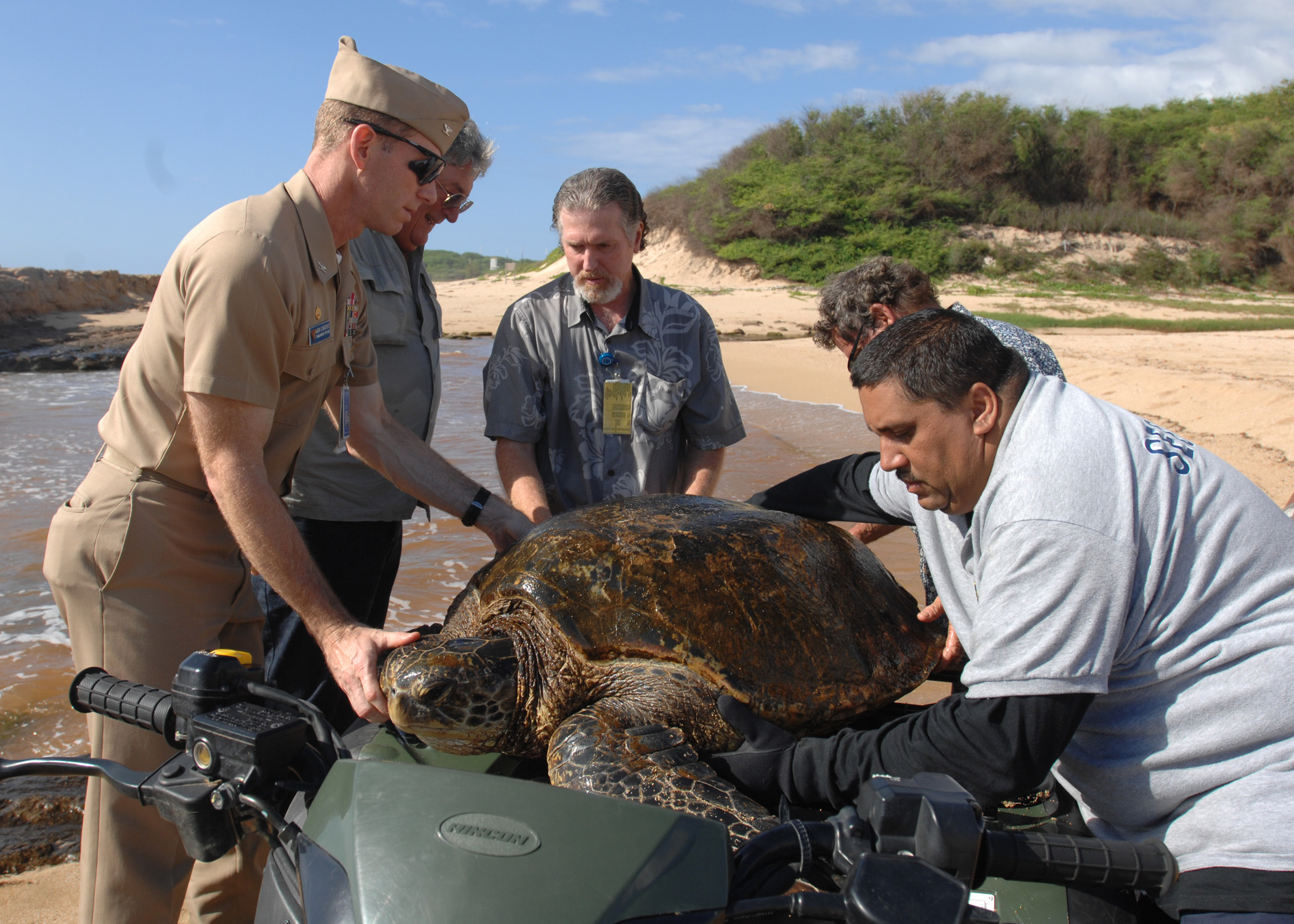 Research and Rehabilitation Programs Expand Impact (Image Credits: Wikimedia)