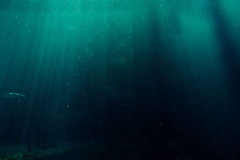 The Myth of an Underwater Void (Image Credits: Pexels)