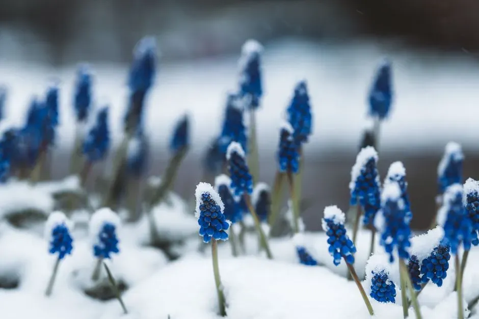 #7 Tree Seeds, Bulbs, And Hidden Plant Life (Image Credits: Pexels)