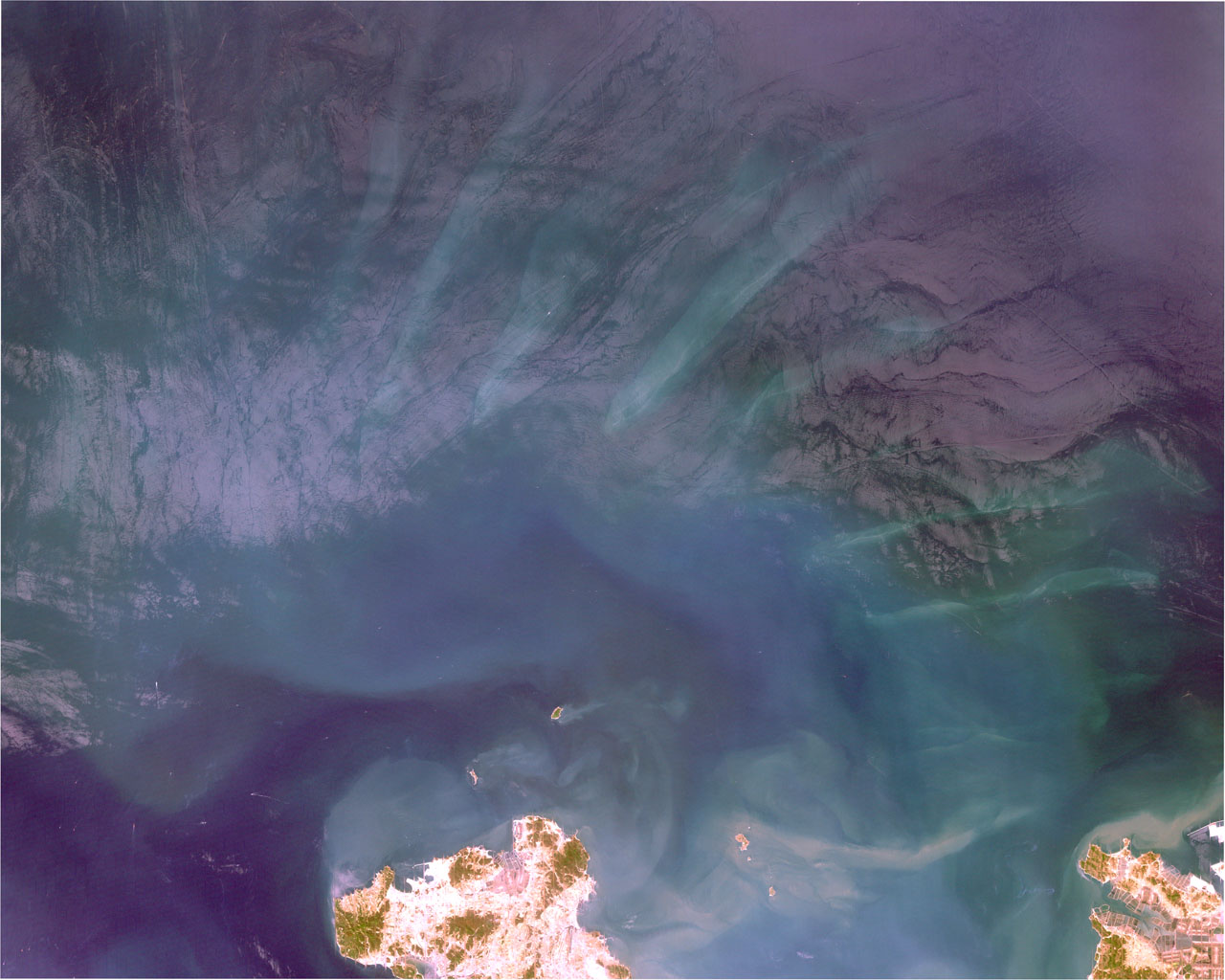 Climate, Fisheries, and the Night Ocean (Image Credits: Wikimedia)