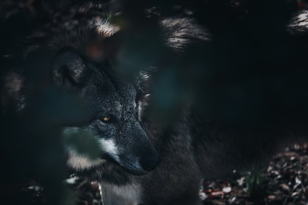 Why It Matters (Image Credits: Unsplash)