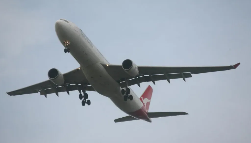 From Nature’s Patterns to Human Design (bertknot, Flickr, CC BY-SA 2.0)