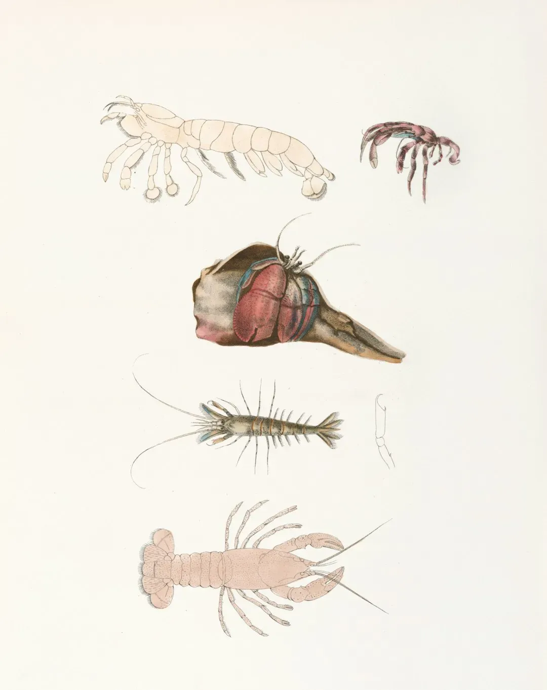 Why It Matters: What Ancient Organisms Teach Us About Life, Death, and the Future (Image Credits: Unsplash)