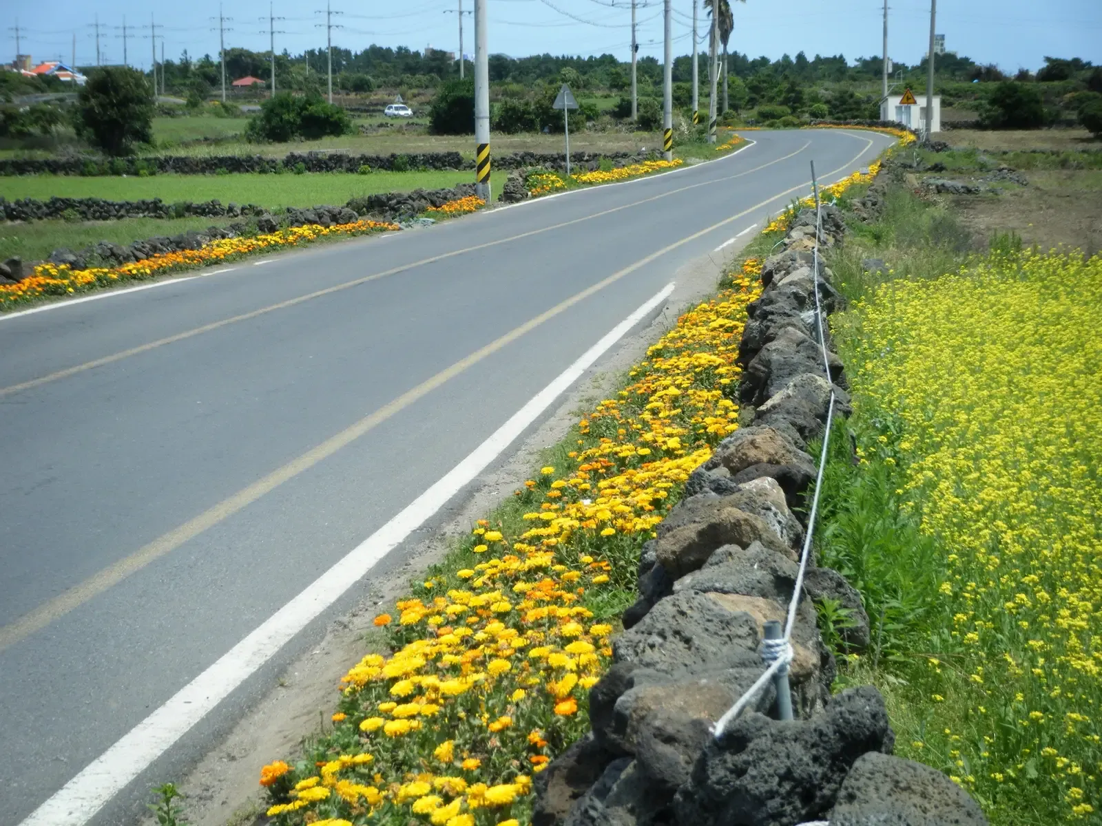 6. Jeju Island’s “Mysterious Road,” South Korea (By gary4now, CC BY 3.0)
