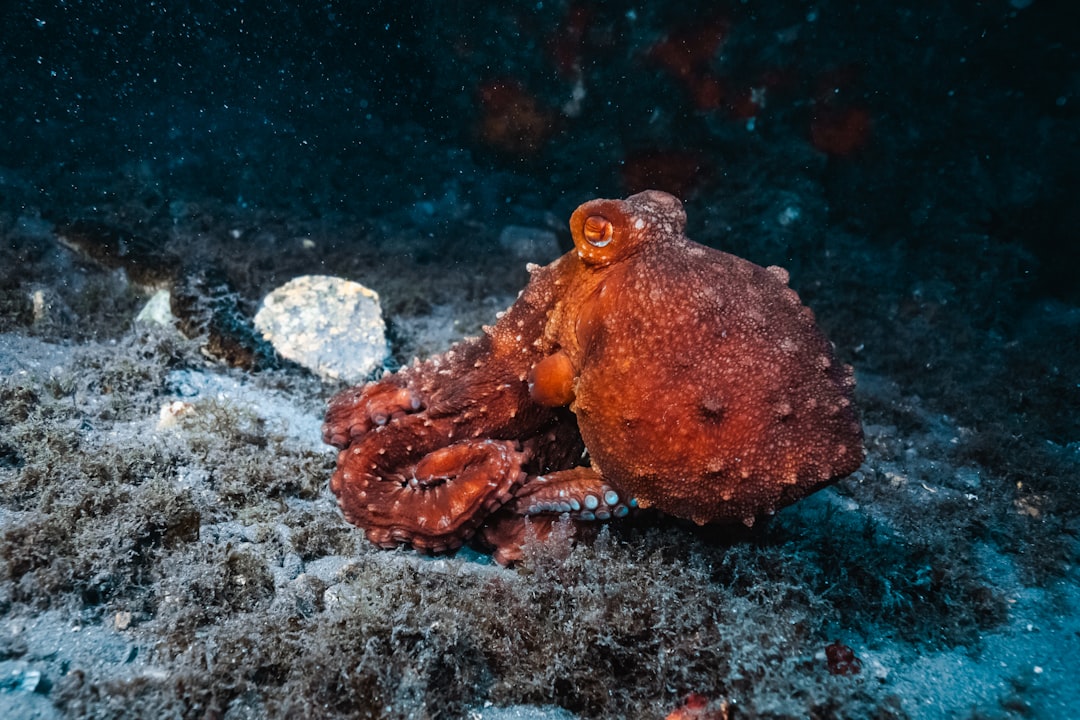 Aquarius's Innovative Minds: The Revolutionary Thinkers (Image Credits: Unsplash)