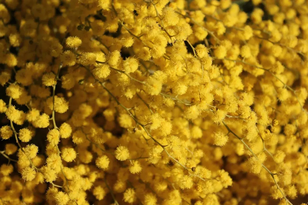 Pollen, Plants, and the Power of Tiny Clues (Image Credits: Unsplash)