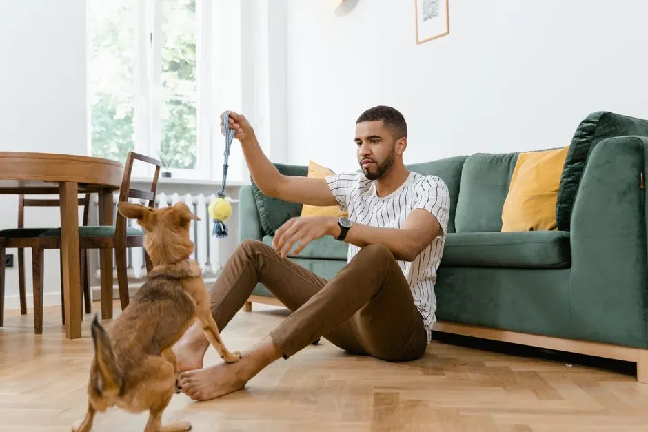Balancing Dog‑Dog Play and Dog‑Human Play (Image Credits: Pexels)