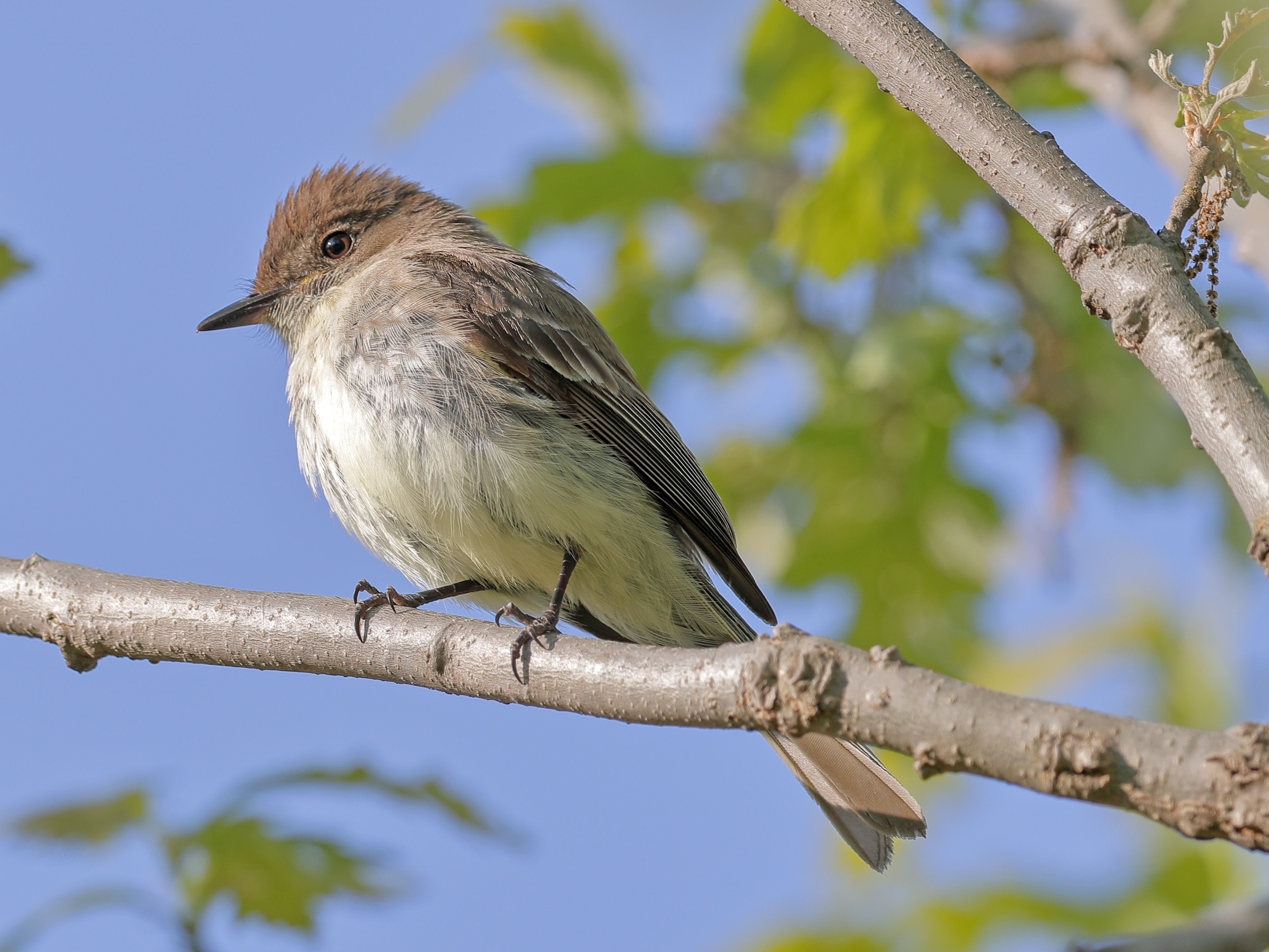 Call to Action (Image Credits: Wikimedia)