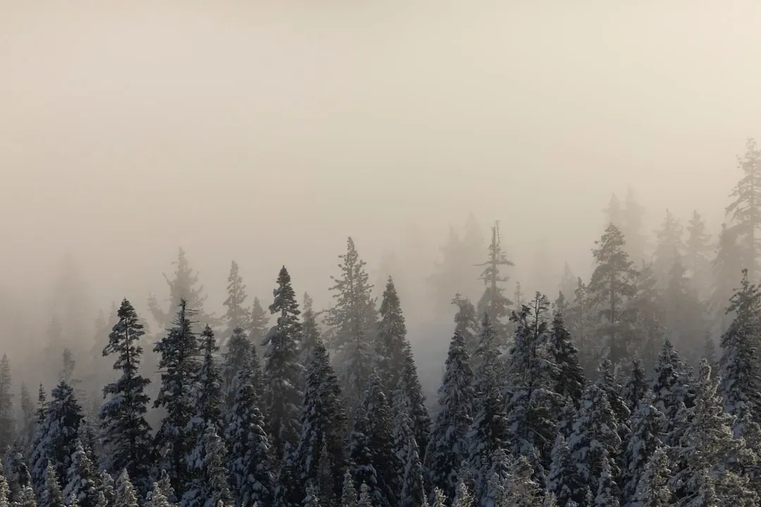 Smoke, Snow, and Silent Anxiety: Fairbanks, Alaska (Image Credits: Unsplash)