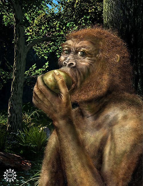 Who We Met: Neanderthals, Denisovans, and Island Mysteries (Image Credits: Wikimedia)
