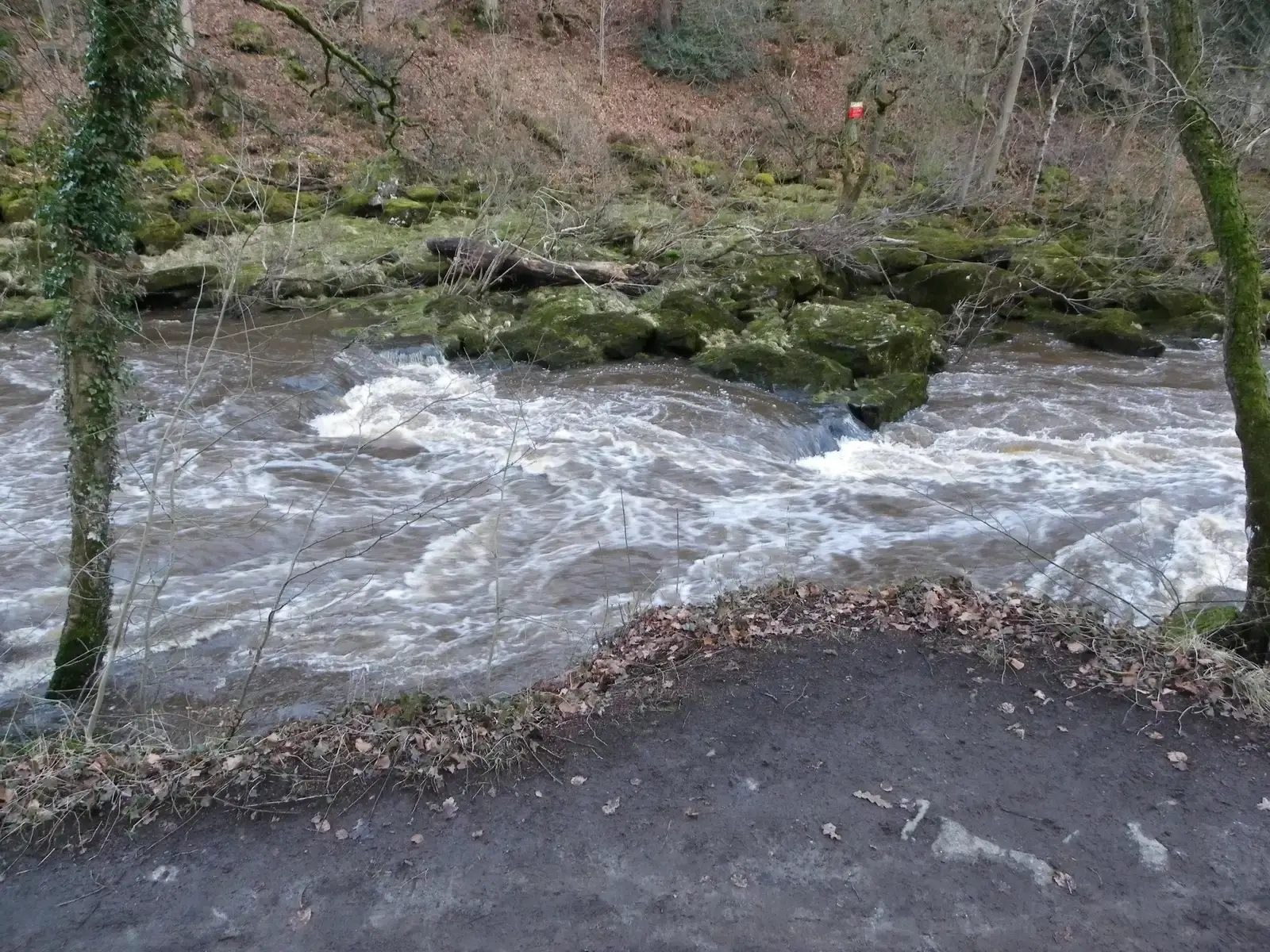 The Science Behind the Terror (Image Credits: Wikimedia)