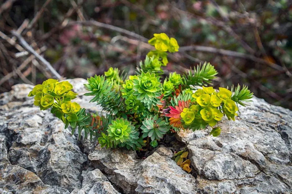 Stress Memories: When a Bad Season Leaves a Lasting Mark (Image Credits: Pexels)