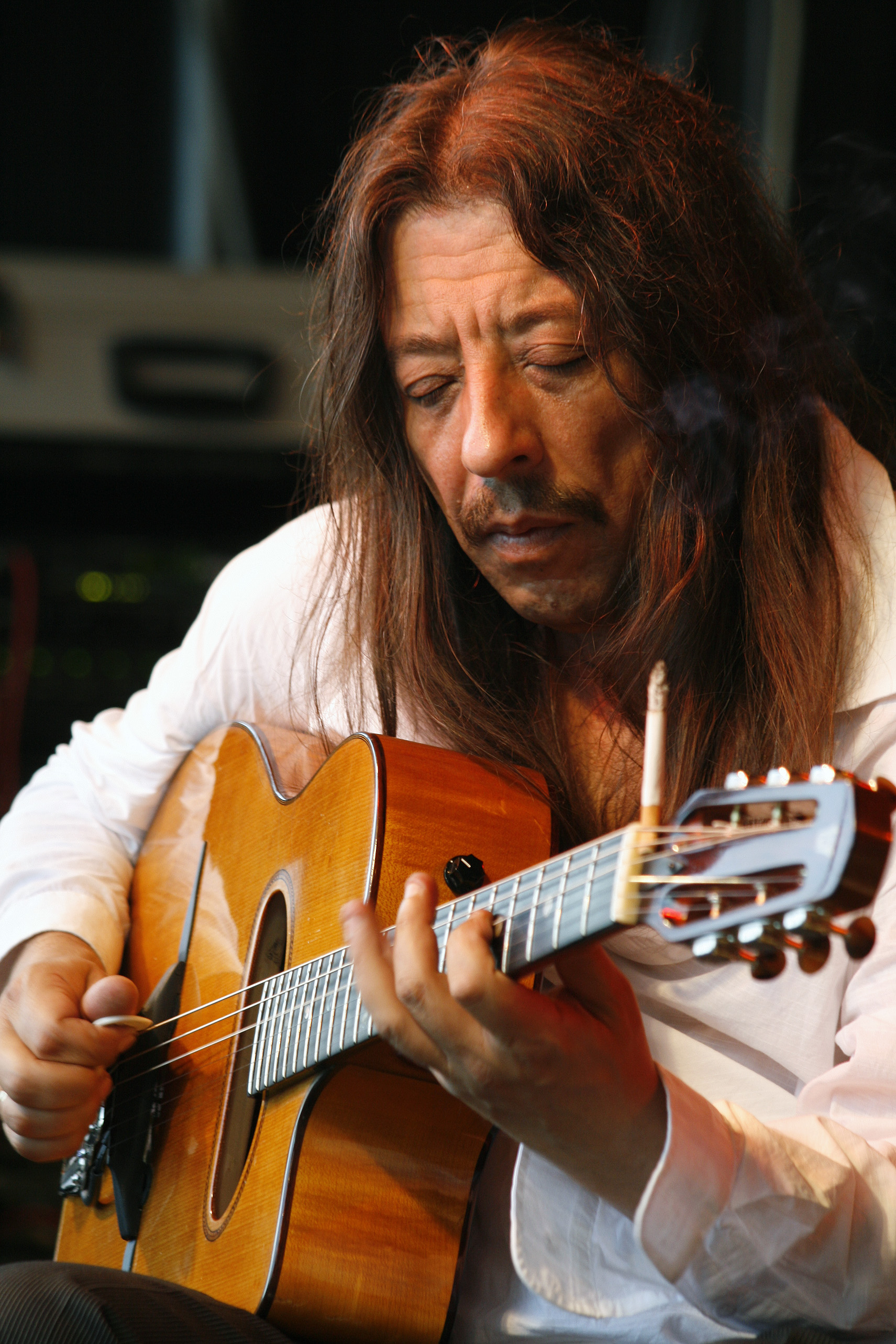 Emotion, Memory, and the Body (Image Credits: Wikimedia)