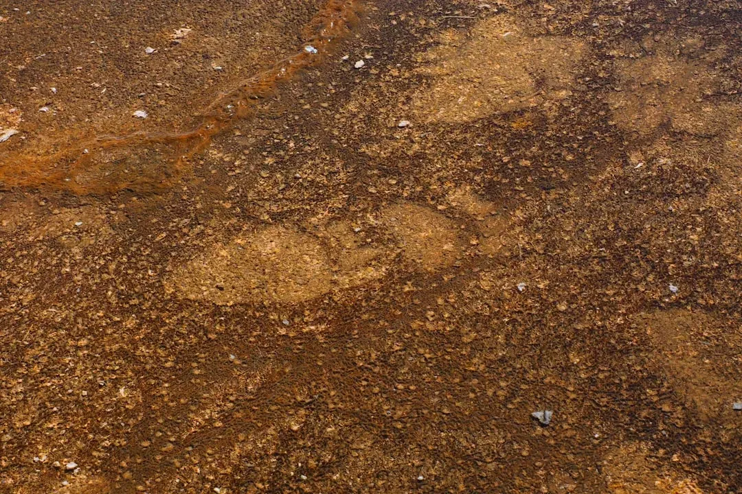 #7 - Human-Like Footprints in Supposedly Ancient Layers (Image Credits: Unsplash)