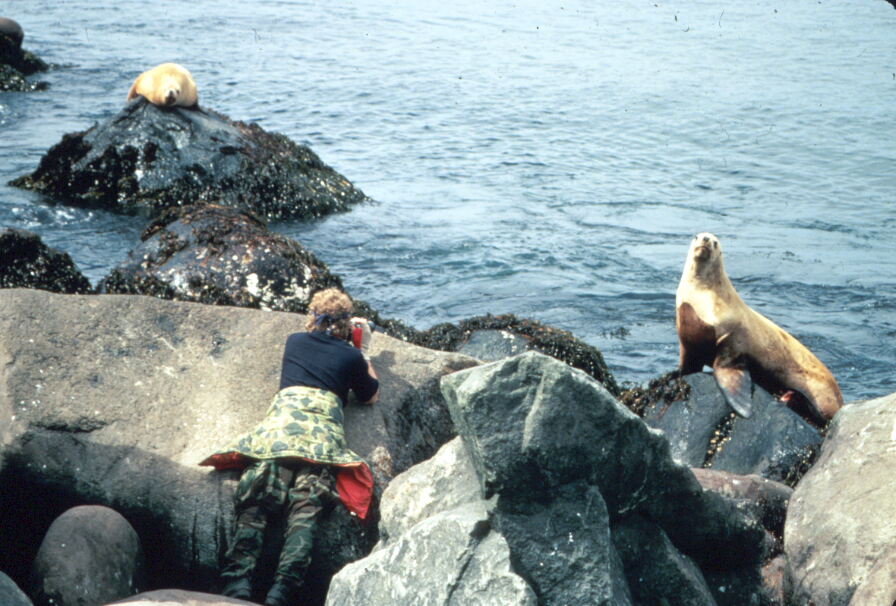 A Model for Global Conservation (Image Credits: Wikimedia)