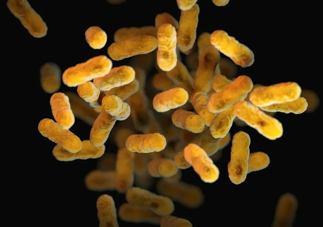 Microbes that breathe rock and eat pollution (Image Credits: Unsplash)