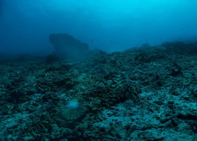 There Are Mountains, Canyons, and Volcanoes Hidden Under the Waves (Image Credits: Flickr)