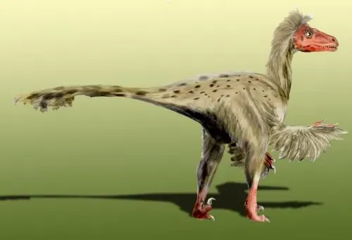 Dromaeosaurus: The Hyper-Focused Scout (No machine-readable source provided. Own work assumed (based on copyright claims)., CC BY 2.5)
