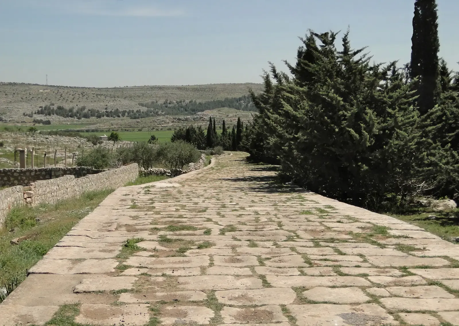6. Road Beds That Refuse to Die (By Bernard Gagnon, CC BY-SA 3.0)