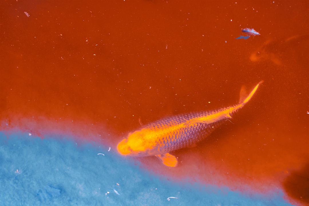 Global Perspectives (Image Credits: Unsplash)