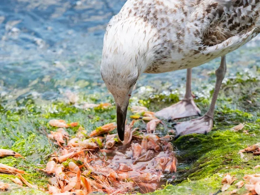 Birds, Brine Shrimp, and a Collapsing Food Web (Image Credits: Pexels)
