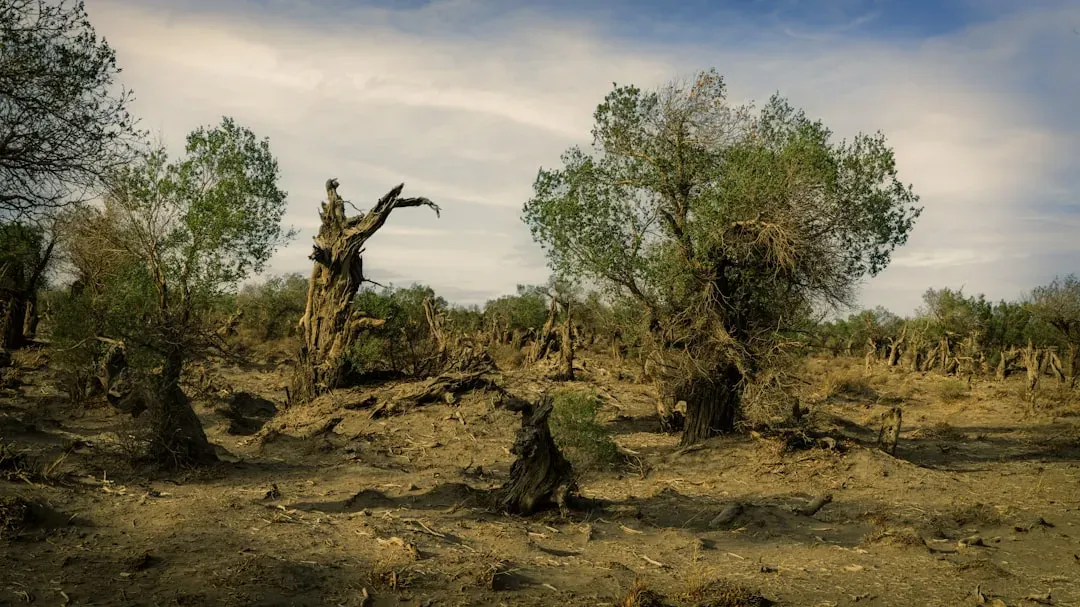 What All of This Means for Life's Resilience - and Our Own Future (Image Credits: Unsplash)