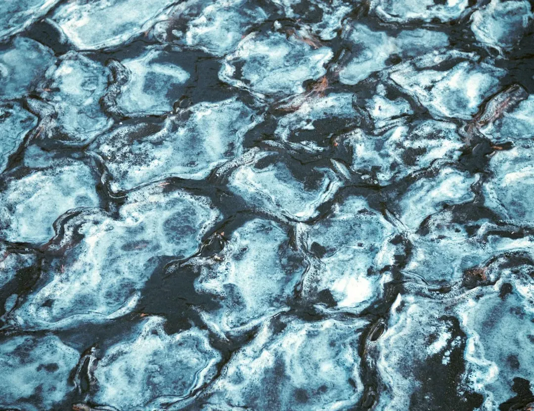 Why the Midwest Is Seeing More of Them Lately (Image Credits: Unsplash)